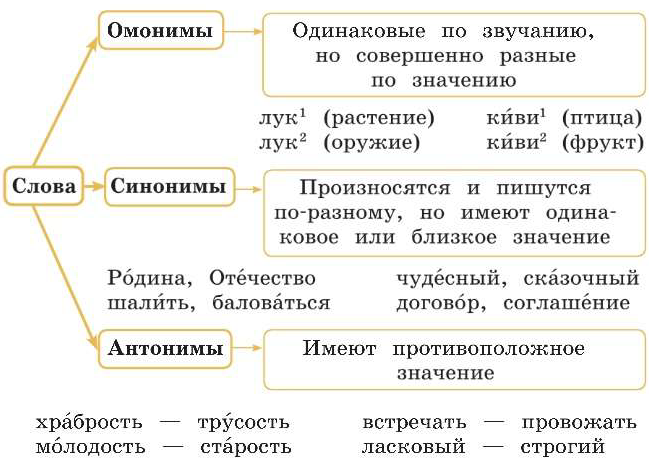 синонимы, антонимы и омонимы