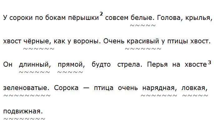 У сороки по бокам пёрышки2 совсем белые., гдз