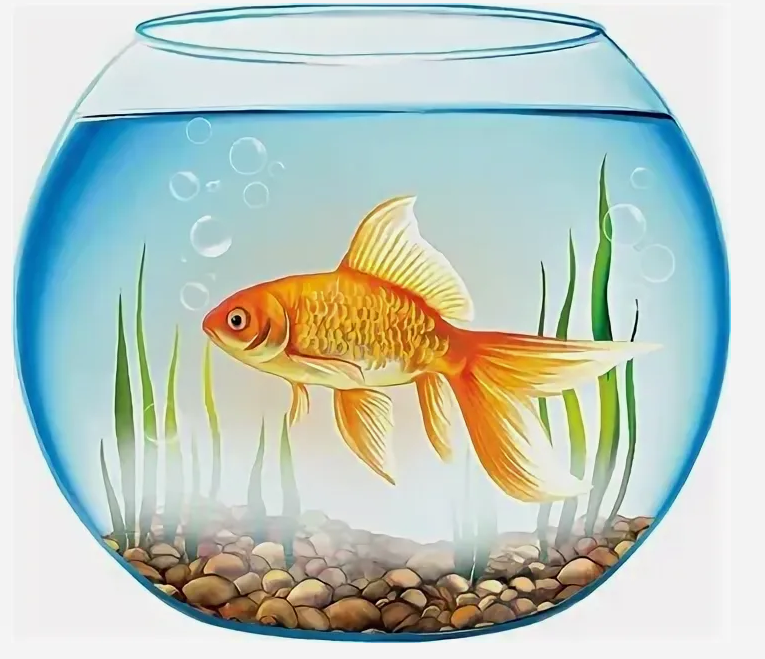 золотая рыбка иллюстрация