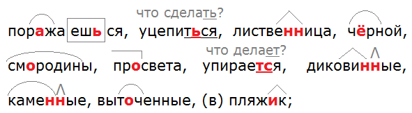 Ладыженская 6.2, упр. 660 -2, с. 151
