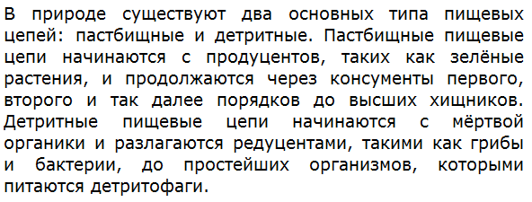 Какие типы пищевых цепей существуют в природе?