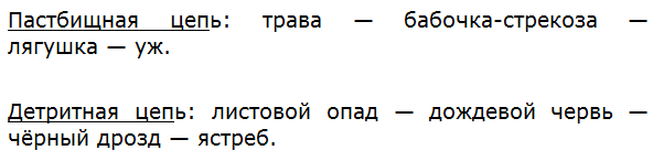 Перечислите и охарактеризуйте трофические уровни.