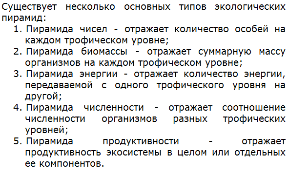 Какие существуют типы экологических пирамид?